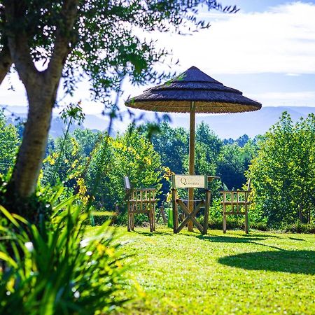Quinta Da Chouza Agroturismo E Enoturismo Селорику-ди-Башту Экстерьер фото