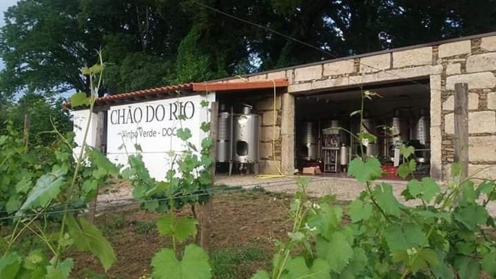 Quinta Da Chouza Agroturismo E Enoturismo Селорику-ди-Башту Экстерьер фото