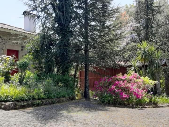 Quinta Da Chouza Agroturismo E Enoturismo Селорику-ди-Башту Экстерьер фото