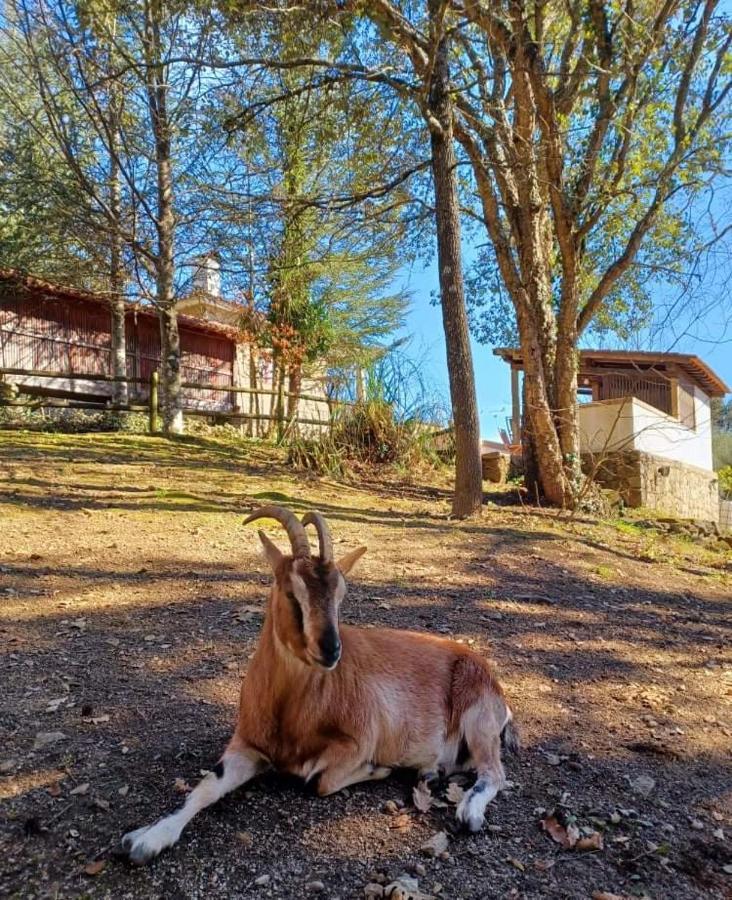 Quinta Da Chouza Agroturismo E Enoturismo Селорику-ди-Башту Экстерьер фото