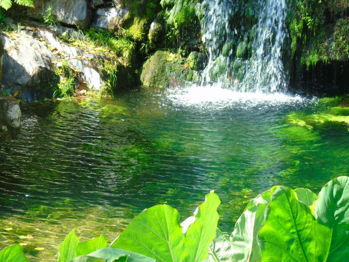 Quinta Da Chouza Agroturismo E Enoturismo Селорику-ди-Башту Экстерьер фото