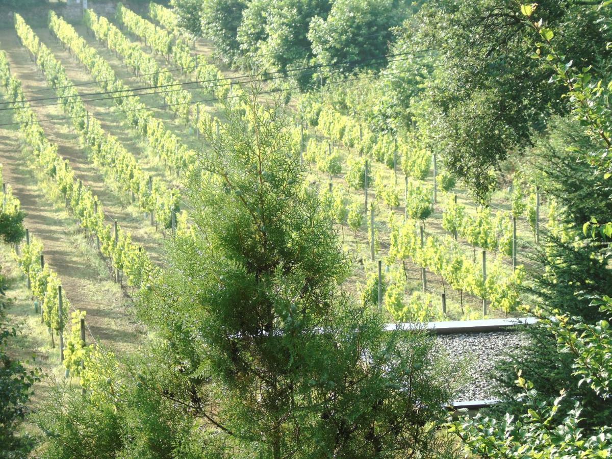 Quinta Da Chouza Agroturismo E Enoturismo Селорику-ди-Башту Экстерьер фото