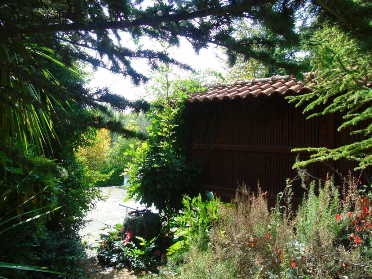 Quinta Da Chouza Agroturismo E Enoturismo Селорику-ди-Башту Экстерьер фото