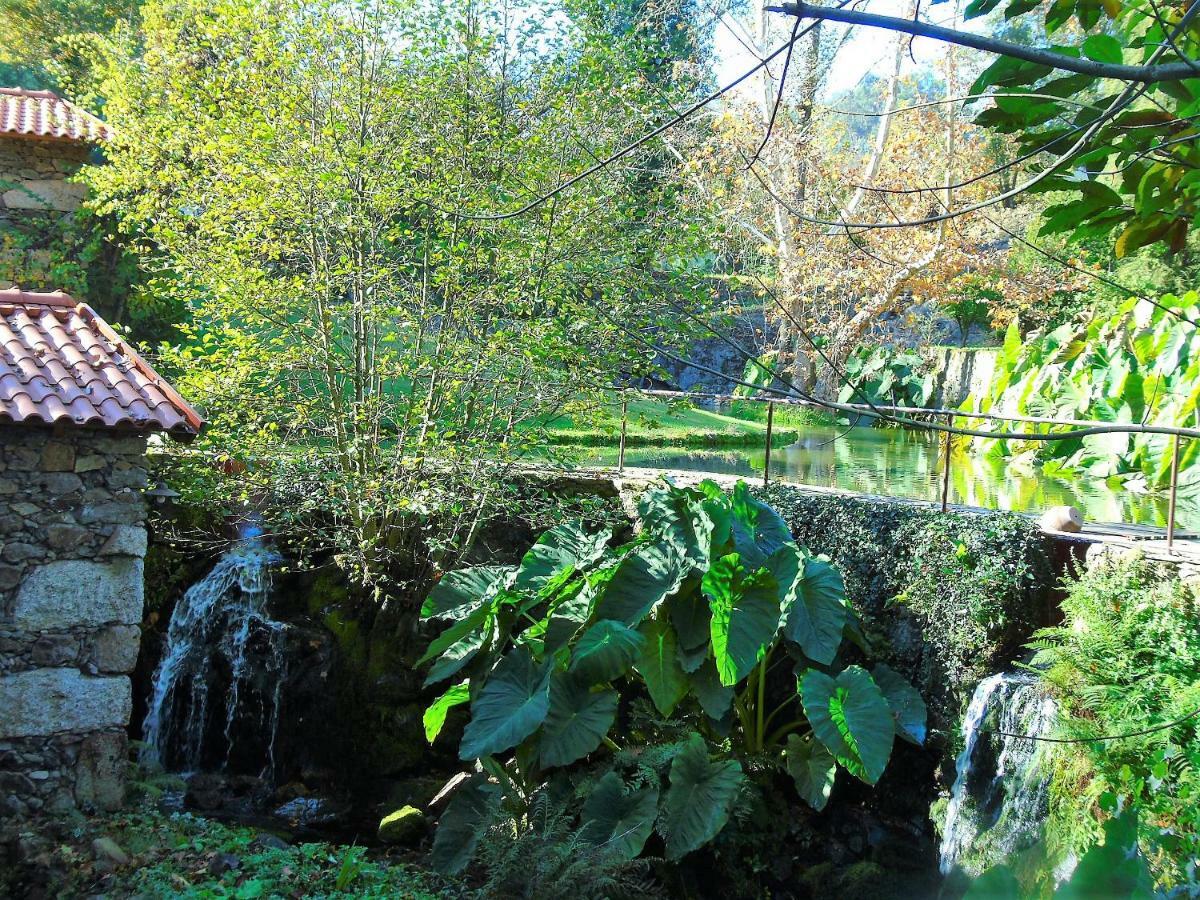 Quinta Da Chouza Agroturismo E Enoturismo Селорику-ди-Башту Экстерьер фото